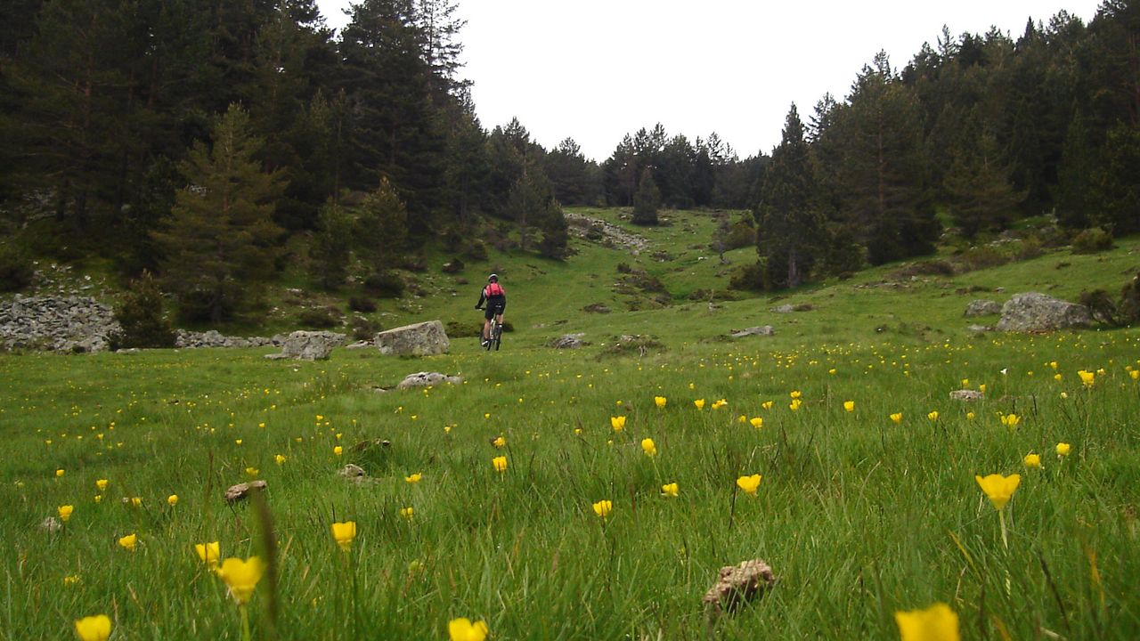 Pyrenées versant sud  06 Junio